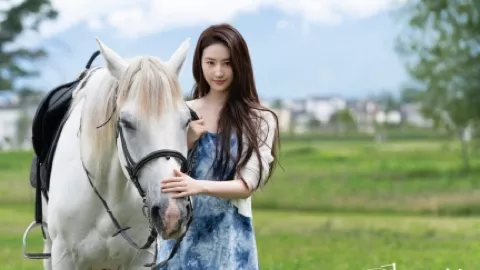 得州黑色UFO目击